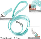YIMEIS Dog Harness and Leash Set, No Pull Soft Mesh Pet Harness, Reflective Adjustable Puppy Vest for Small Medium Large Dogs, Cats (Tiffany Blue, X-Small (Pack of 1)