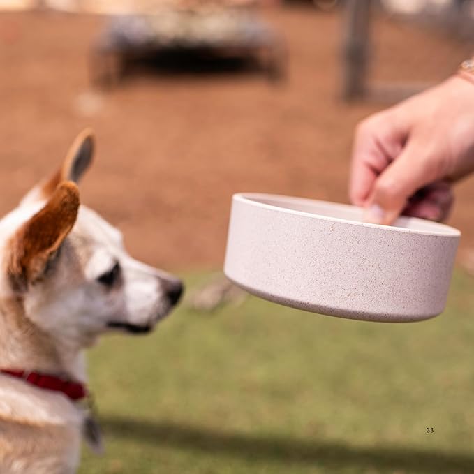 Loving Pets - Dolce Bamboo - Eco-Friendly Pet Bowls & Dishes for Dog, Cats, Puppy Food and Water Dish -Sustainable and Dishwasher Safe, Made with Real Bamboo (Large, Oat-Beige)