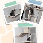 COZIWOW Cat Wall Shelves Set, 5-Piece Wall Mounted Cat Furniture with Cat Tree & Scratching Post, Floating Cat Perches for Indoor Cats（Beige）