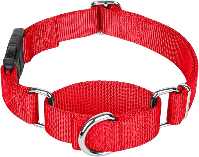 Martingale Collar for Dogs with Quick Release Buckle, Heavy-Duty Solid Color Nylon Training Collars - Adjustable No-Slip Design for Medium & Large Dog