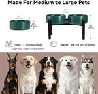 Dog Bowls Elevated - Ceramic Raised Dog Bowl with Non Slip Steel Stainless Stand - No Spill and Heated Feeding Station - Food and Water Dish Set for Medium to Large Pet - Each Holds 7.5 Cups – Green