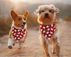 JXGZSO 1 Piece Silly Goose Triangle Dog Bandana Meme Goose Duck Merchandise (Silly Goose D red)