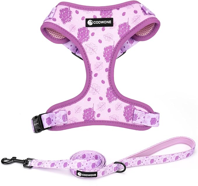 Dog Harness and Leash Set, Adjustable Dog Harness, Dog Leash, No Pull No Choke Puppy Harnesses for Walking Training for Small Medium Pet (Wines, XS(Chest 9.9-13.5", Neck 7.8-10.2"))