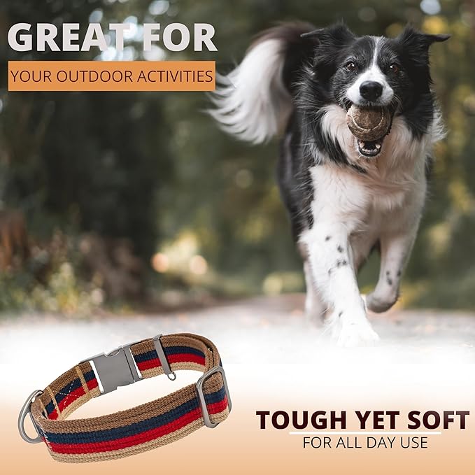 ADITYNA Cotton Dog Collar with AirTag Holder - Heavy-Duty Metal Buckle, Breathable, Easy Adjustable for Medium & Large Breeds - for Walking, Training (Vintage Stripes, Fits 15-21" Necks)