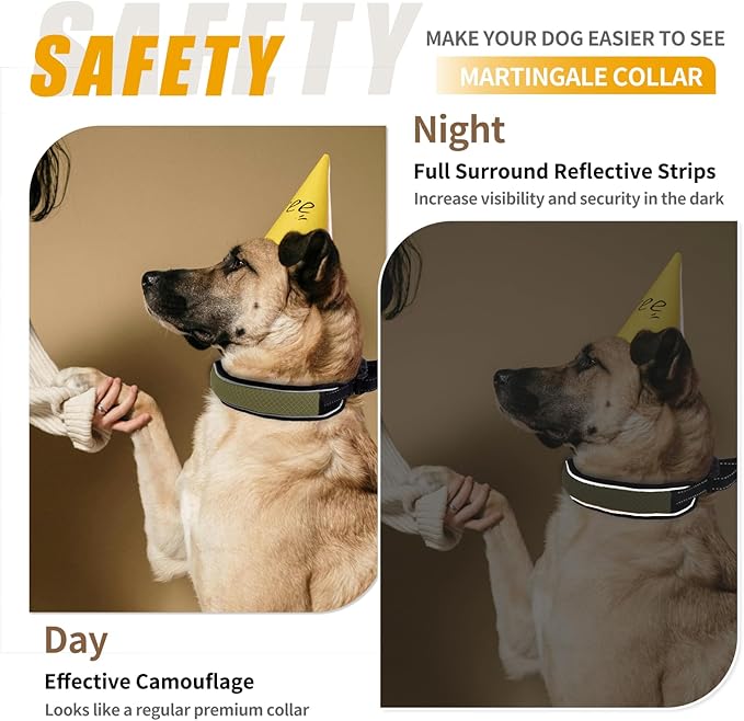 Martingale Collar for Dogs, Reflective No Pull Dog Collar for Large Medium Dogs, Adjustable Anti Pull Dog Collar for Training Walking, Heavy Duty Nylon Slip Collar with Buckle 2 Inch Wide M Army Green