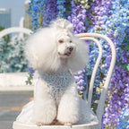 CuteBone Dog Birthday Dress Girl Puppy Skirt Tutu Cat Wedding Outfit Pet Party Clothes for Small Dogs Costume DD17S