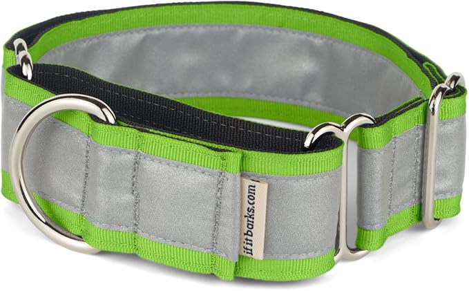 If It Barks - 1.5" Reflective Martingale Collar for Dogs - Adjustable - Made in USA - Strong, Durable, and Comfy - Ideal for Training - Suitable for Most Breeds - Medium, Apple Green