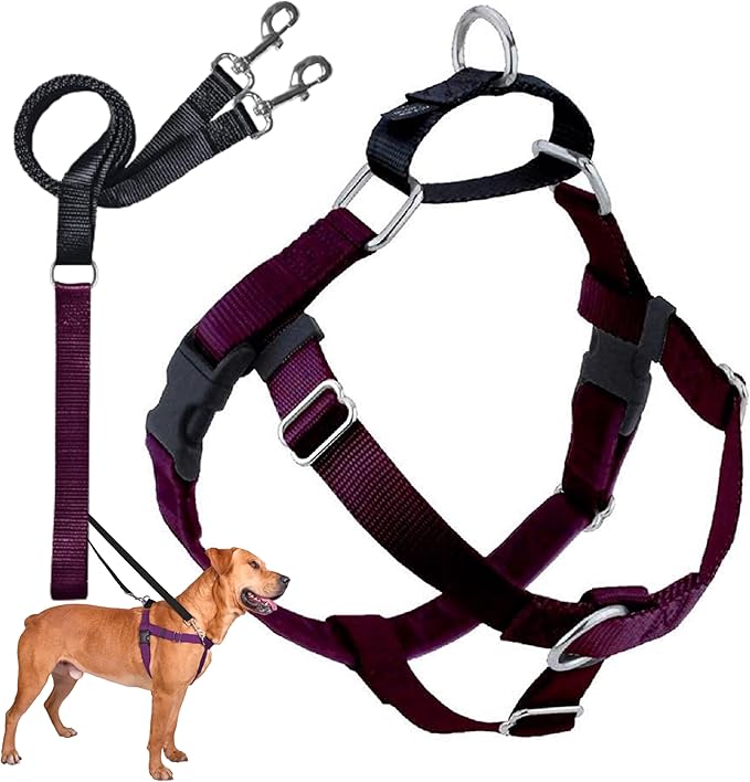 2 Hounds Design Freedom No Pull Dog Harness, Adjustable Harness and Leash Set, Easy Walking & Comfortable Control, Fits Small, Medium & Large Dogs, Solid Colors, Made in USA, 1" LG, Burgundy