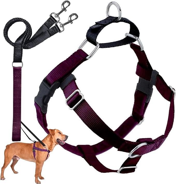 2 Hounds Design Freedom No Pull Dog Harness, Adjustable Harness and Leash Set, Easy Walking & Comfortable Control, Fits Small, Medium & Large Dogs, Solid Colors, Made in USA, 5/8" MD, Burgundy