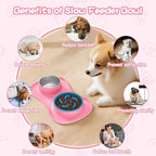 MateeyLife Dog Food and Water Bowl Set 3 in 1, Slow Feeder Dog Bowls & Stainless Steel Water Bowl with Non-Spill Silicone Mat, Cat and Puppy Bowls Pet Dishes for Small Medium Large Breed Anti-Choking