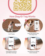Jugbow 2-in-1 Pet ID Tag & Shock Collar for Small Dogs - 4200FT Dog Training Collar with Remote for 5-30lbs Dogs, IPX8 Waterproof Rechargeable E-Collar with Beep(1-9), Vibration(1-3), Safe Shock(0-16)