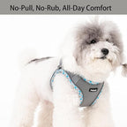 Petank Dog Harness for Small Medium Dogs No Pull, Puppy Harness and Leash Set for Walking, Running, Training, Small Dog Harness, Medium Dog Harness (Grey, L)