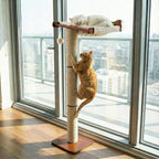 Sintuff Cat Window Perch with Scratching Post Climbing Tree Hammock Mounted with Suction Cups 46 Inch Tall Adjustable Narrow Cat Tree Climbing Pole for Playing Sleeping Watching Birds (Round)