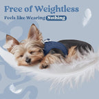 rabbitgoo Small Dog Harness, Step-in Soft Mesh Puppy Vest with Safety Buckle, Breathable Reflective Pet Harness for Small Medium Dogs, Navy Blue L