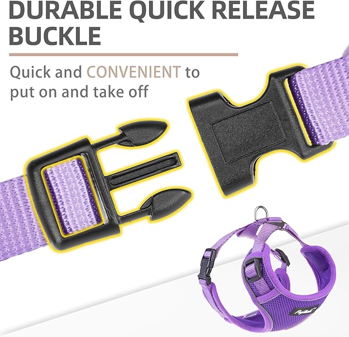 PUPTECK Small Dog Harness and Leash Set, No Pull Adjustable Puppy Cat Harness, Reflective Soft Mesh Pet Vest Small Sized, Purple, S