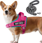 AUROTH Dog Harness and Leash Set, Soft Padded Service Dog Vest with 5.25FT Dog Leash, No Choke, Easy On Pet Vest, Adjustable Reflective No Pull Dog Harness Small Sized Dog, Easy Walking and Training