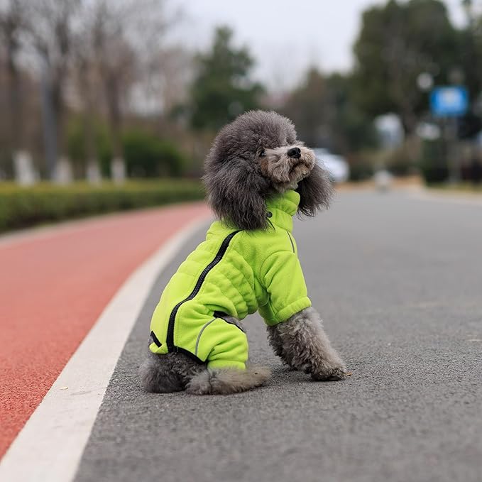 Warm Fleece Dog Winter Coat, Windproof Jacket for Small to XXL Dogs, Zippered Closure - Green