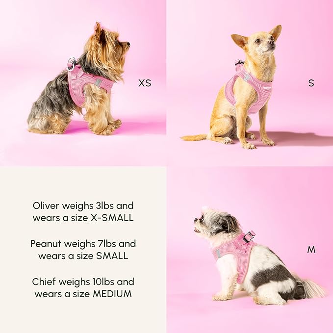 Downtown Pet Supply Step in Dog Harness for Large Dogs - Adjustable, Escape Proof Dog Harness with Reflective Trim - All-Weather, Fast-Drying Padded Mesh Fabric - Tangerine, Large