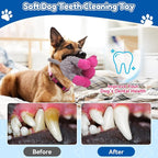 Plush Chew Toys for Large Dogs, Tough Crinkle Stuffed Animal Squeaky Interactive Toys for Small Medium Large Dogs, Keep Them Busy, Big Pet Toys