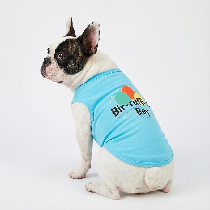 Fitwarm Birthday Boy Dog Shirt, Bir-Ruff-Day Boy Funny Dog Clothes for Small Dogs Boy, Pet Birthday Outfit, Cat Tshirt, 100% Breathable Cotton, Aqua Blue, Small