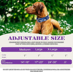 1.5 Inch Wide Dog Collar - No Pull Martingale Collar for Large Dogs, Heavy Duty Adjustable Training Collar for Medium, Large & XL Dogs(Cute Dog XL)