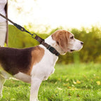 Martingale Collar for Dogs with Quick Release Buckle, Reflective Soft Padded & Escape Proof, Adjustable Nylon Dog Collars for Training & Daily Walking (Brown,XS)