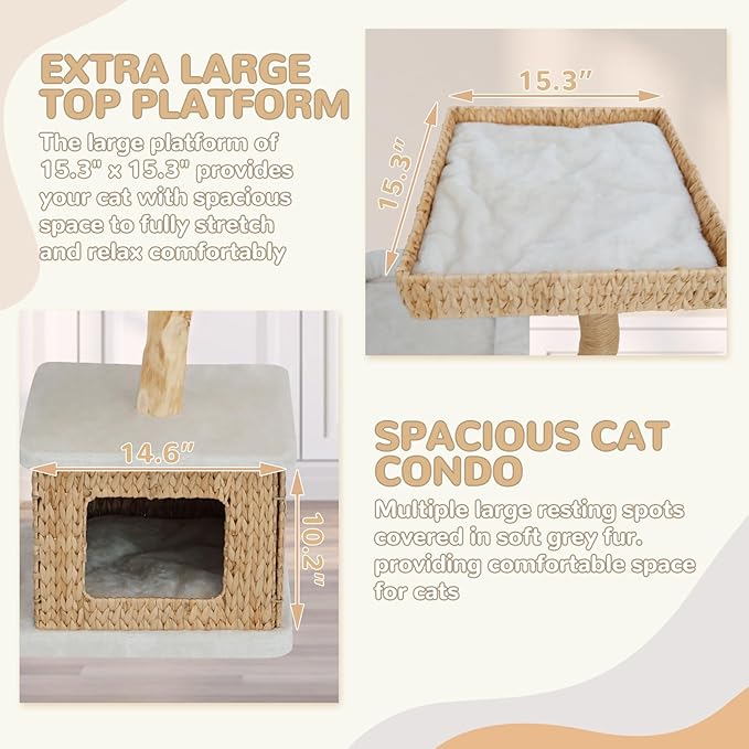 Modern Cat Tree Tower for Indoor Cats - Multi-Level Solid Wood Cat Condo w/Caves, 2 Large Perches, Scratching Posts, Hanging Toy for Large Cats Adult - Luxury Boho Pet Furniture