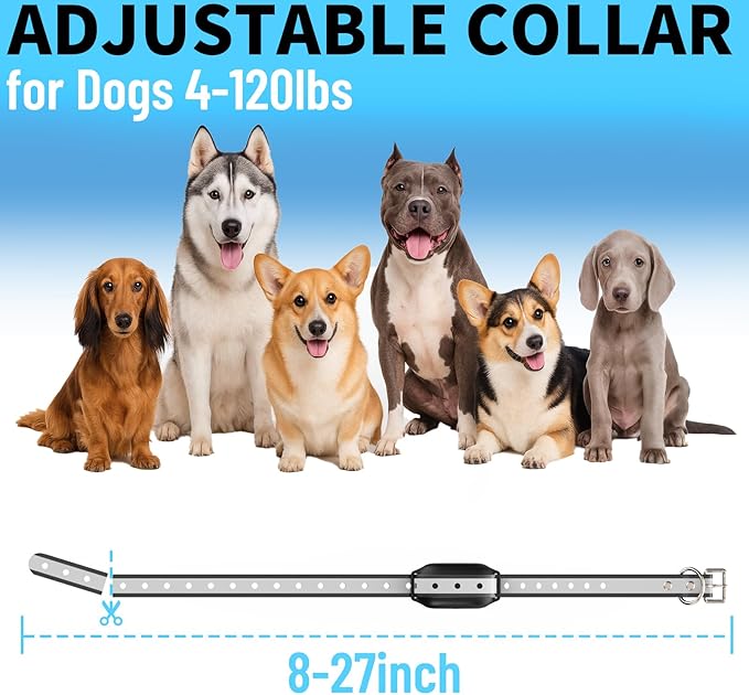 PETPLAYTIMEShock Collar for Dogs 3300FT Dog Training Collar with Remote IPX7 Waterproof with 3 Training Safe Shock Modes, Adjustable Dog Collar for Small Medium Large Dogs