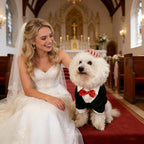 Dog Tuxedo Suit with Bow Tie Dog Shirt Puppy Clothes Formal Pet Tux Party Birthday Costume for Small Medium Dogs Pet Weding Attire Dress Up Cosplay Prince Costume Gentleman Apparel