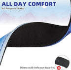 KOOLTAIL Martingale Collar for Dogs for Small Medium Large Dogs, Soft Padded Nylon No Pull Dog Collar with Buckle, Adjustable No Slip Heavy Duty Durable Puppy Training Collar for Boys Girls, Blue S