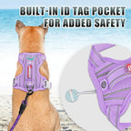 BARKBAY No Pull Dog Harness Large Reflective Dog Harness with Front Clip and Easy Control Handle for Walking Training Running with ID tag Pocket(Violet Purple,XL)