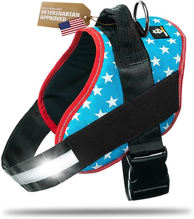 Dog Harness with Patch Panels, No Choke, Reflective, Adjustable, Soft Padded Dog Vest Harness with Easy Control Handle for Small Size Dog, Light Blue, S