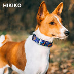 Hikiko Martingale Collar for Dogs Cute Dinosaur Dog Collar for Small Medium Large Dogs Comfortable Nylon Funny Dog Collars (Dinosaur,Large)