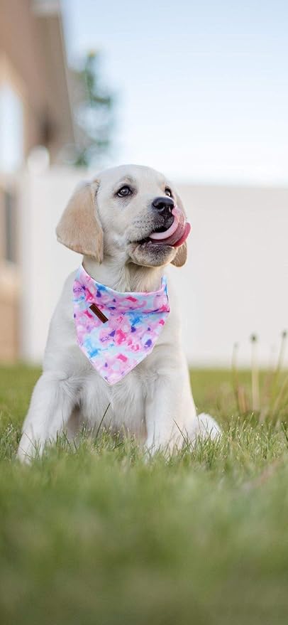 Elegant Little Tail Bandana for Boy Girl Small Medium Large Dogs, Comfortable Bibs Scarf, Adjustable Square Kerchief
