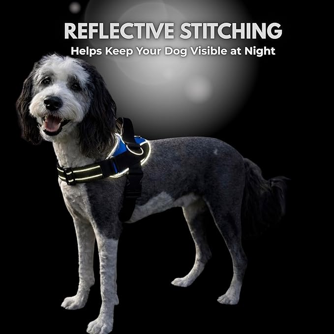 ShawnCo Essential Dog Harness, No-Pull Pet Vest with 3 Leash Clips, No Choke, Reflective, Adjustable and Padded, for Easy Walking and Training for Small, Medium and Large Dogs (Rose Gold, XL)
