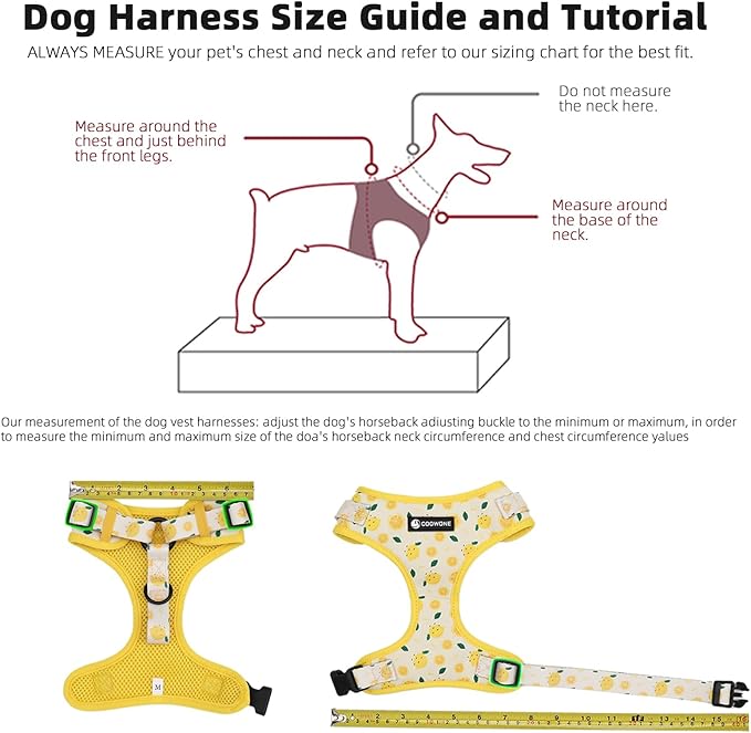Dog Harness and Leash Set, Adjustable Dog Harness, Dog Leash, No Pull No Choke Puppy Harnesses for Walking Training for Small, Medium Pet (Little Love, S(Chest 14-19.6", Neck 10.6-13"))