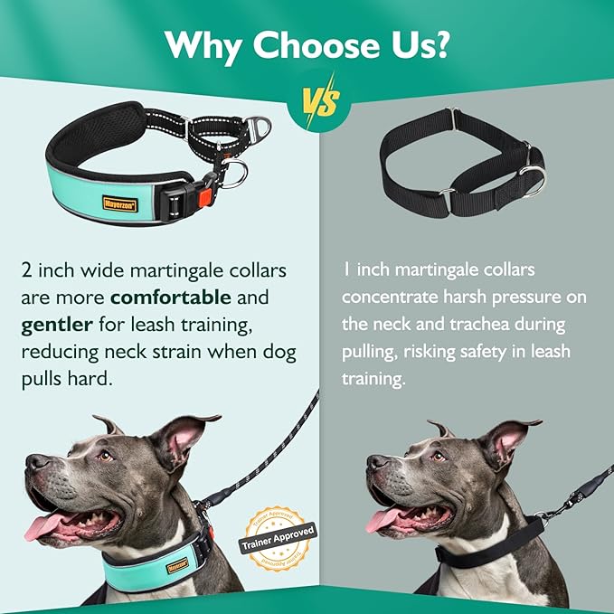 Mayerzon 2 Inch Wide Martingale Collar for Large Dogs, Patented No Pull Walking Training Dog Collar for Pitbull German Shepherd, with Buckle, Reflective Stitching, Neoprene Layer, Adjustable(Teal, M)