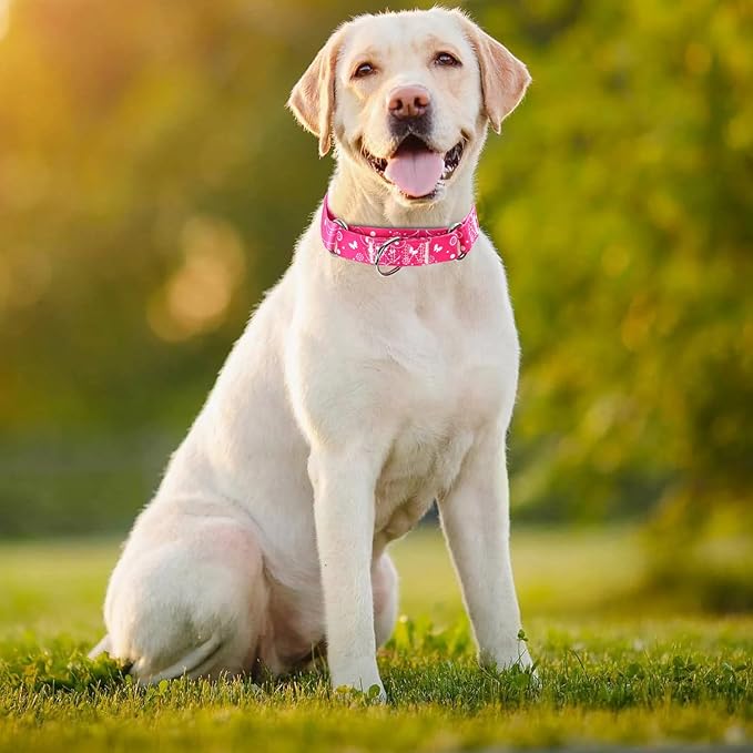Serijoars Adjustable Martingale Dog Collar Heavy Duty Nylon Dog Collar for Medium Large Dogs Walking Training Boy and Girl Dogs (NO2, M)