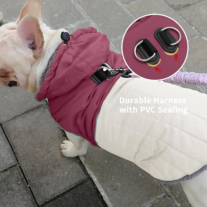 Detachable Hooded Dog Coat with Harness for Small Dogs,Super Warm Fleece Puppy Jacket for Cold Winter Doggie Coats,Red M