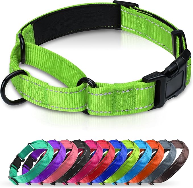 Martingale Collar for Dogs with Quick Release Buckle, Reflective Soft Padded & Escape Proof, Adjustable Nylon Dog Collars for Training & Daily Walking (Green,M)