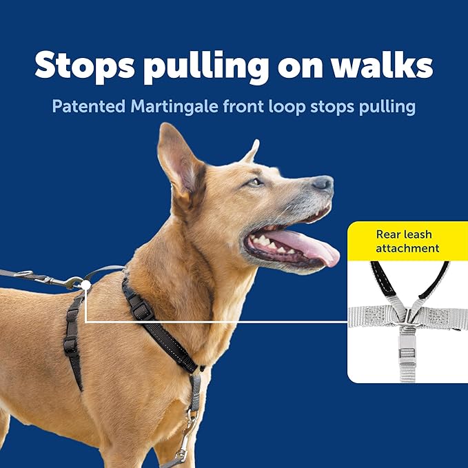 PetSafe 3-in-1 Harness with Two-Point Control Leash - Custom Fit Durable Obedience Gear for Gentle Behavior Training to Reduce Leash Pulling - Breathable Padded Design - Large - Black