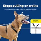 PetSafe 3-in-1 Harness with Two-Point Control Leash - Custom Fit Durable Obedience Gear for Gentle Behavior Training to Reduce Leash Pulling - Breathable Padded Design - Large - Black