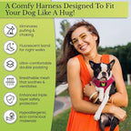 EcoBark Premium Quality Small Dog Harness - Step in Reflective Luxury Soft Mesh Harnesses for Puppies, Toy Breeds, & Small Dogs - Comfortable & Safe Body Halter - Adjustable Pet Vest (Small, Pink)