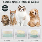 Bulldog Bowl Anti-Slip Dog Cat Dish Detachable Rubber Dog Bowl Pet Sterile Tilted Pet Feeder Slope Base (Green, 2 Cup (Small/Medium Dog))