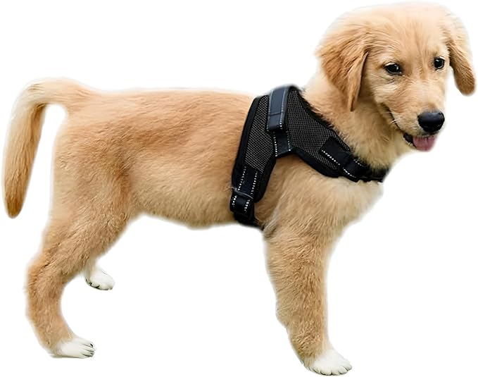 No Pull Reflective Adjustable Dog Harness with Handle- Comfortable Soft All Weather Mesh, Easy On Puppy Harness for Small Medium and Large Dogs (Black) Small