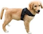 No Pull Reflective Adjustable Dog Harness with Handle- Comfortable Soft All Weather Mesh, Easy On Puppy Harness for Small Medium and Large Dogs (Black) Small