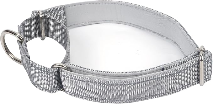 SGODA Martingale Dog Collar, Reflective Nylon Padded Dog Training Collars for Medium Dogs, Grey M