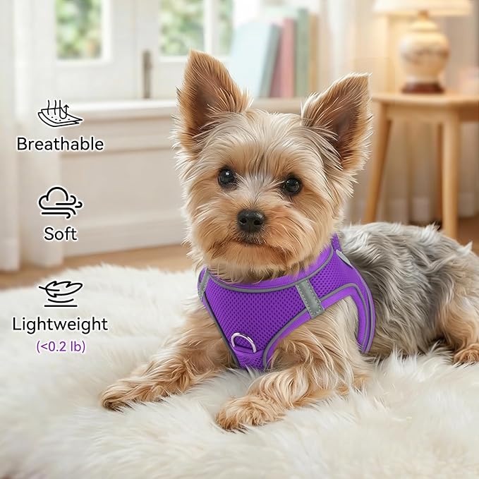 Joytale Small Dog Harness, Breathable Mesh Step-in Vest, Reflective Soft Padded Harnesses for Cats and Puppies Dogs, Purple, XXXS