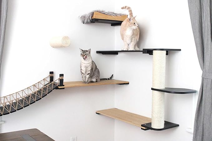 CatastrophiCreations Cat Bridge Wall-Mounted Play and Lounge Toy Cat Tree Tower Alternative for Pets, 1 Count (Pack of 1)