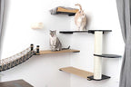 CatastrophiCreations Cat Bridge Wall-Mounted Play and Lounge Toy Cat Tree Tower Alternative for Pets